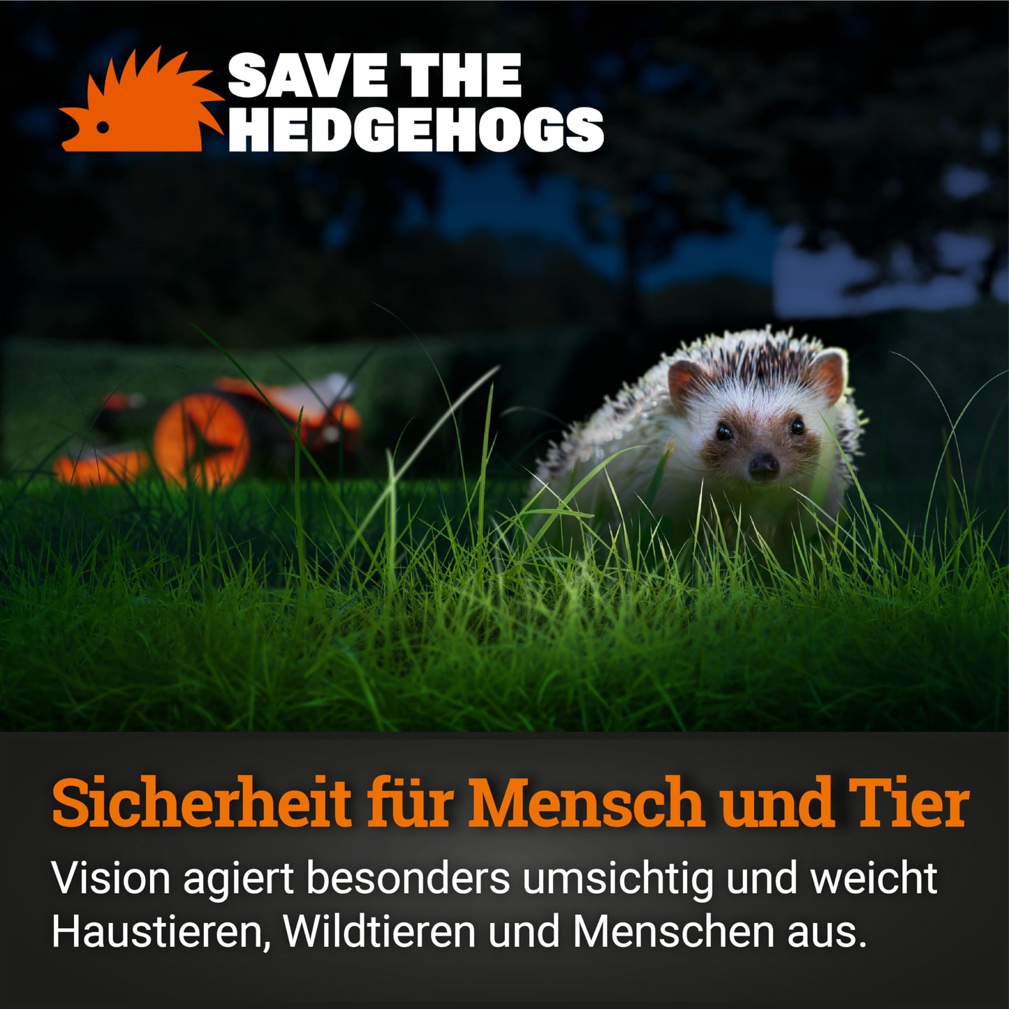 WORX Landroid Vision S250 WR202E - KI Hindernisvermeidung, ohne Kabel, 250m², Igelschutz, WLAN/Bluetooth